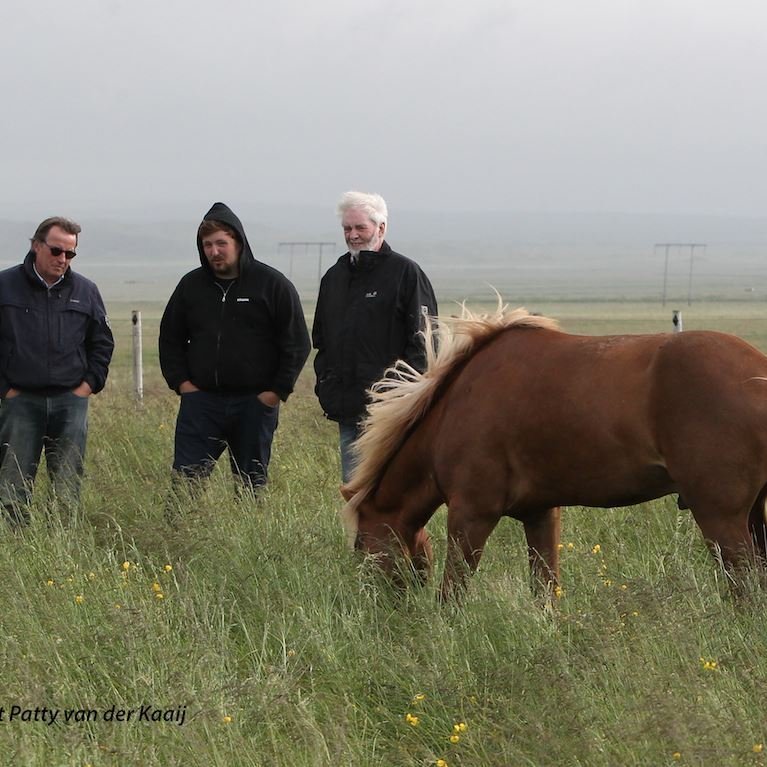 10473862_10203563843310348_2169226123779953824_o