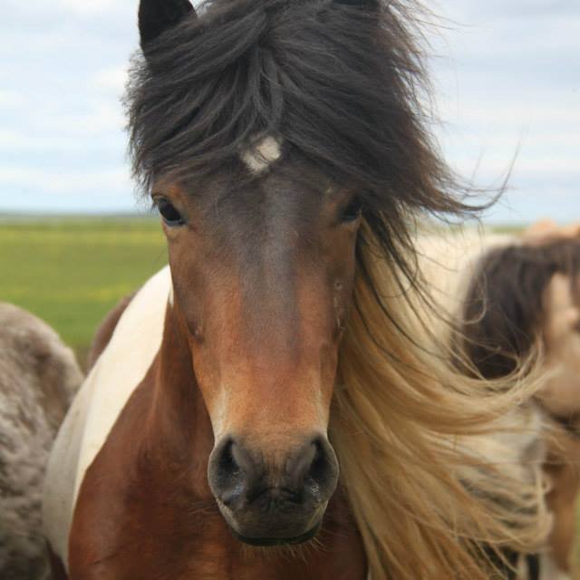 10559909_741414585924628_6622968583285008602_n