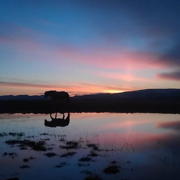 68953565_2443363742396362_3751340022486269952_n