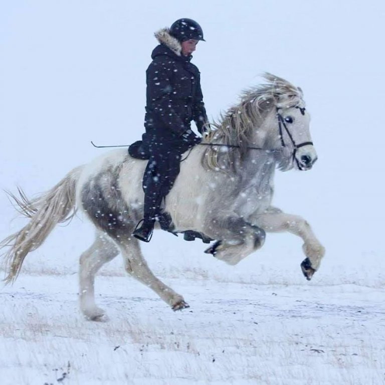 80565372_2717507234982010_666457832031256576_o