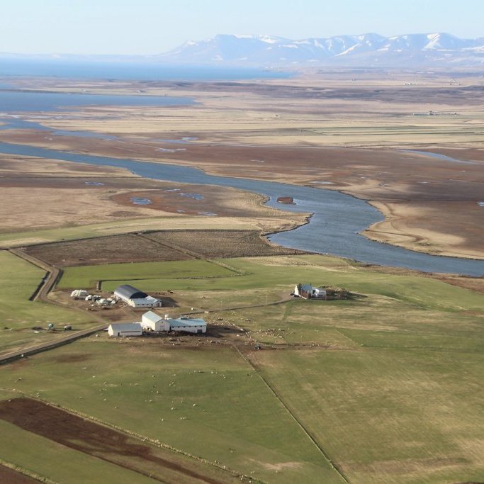 98830021_1151177111920685_302324410117783552_o