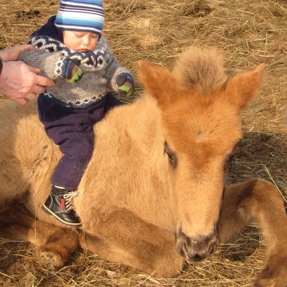 99281916_243269590286193_373286242034384896_n