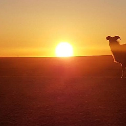 e5ea0606-dcd0-4ccc-b23b-f090c8c795ee