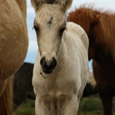 78427192_3074524745946922_4952654426855702528_n