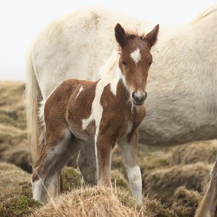 97436267_3050728414993222_6109291335871627264_n