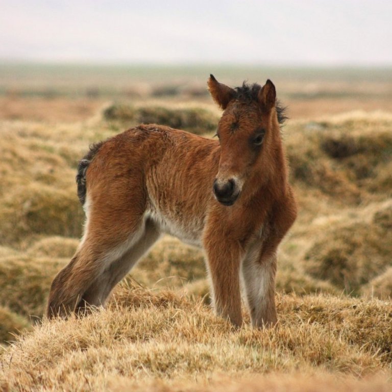 98173649_3055636734502390_4663840772670357504_o