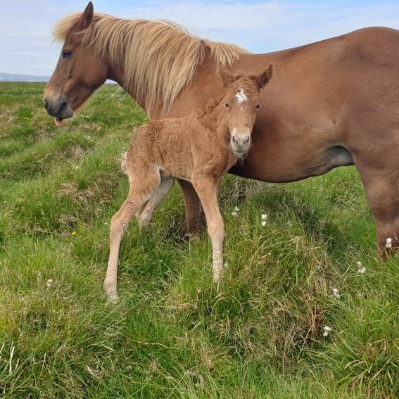 68544925_2407351942921661_875365028423794688_n